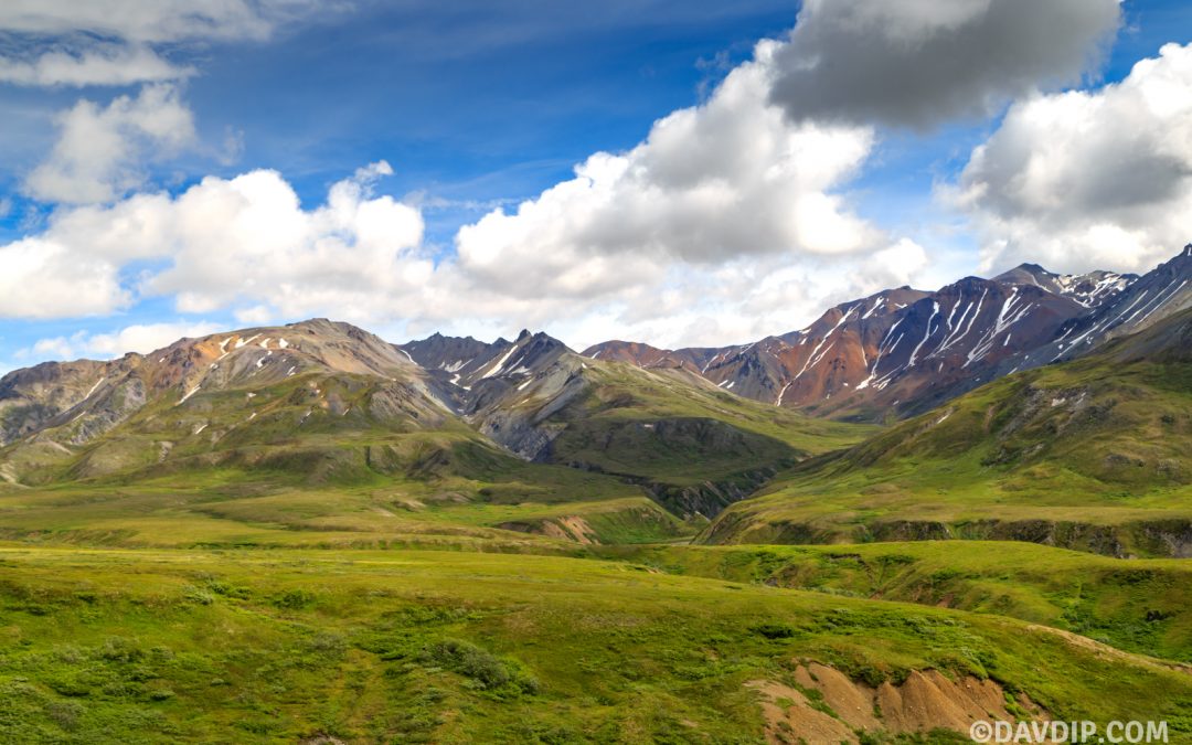 Denali National Park