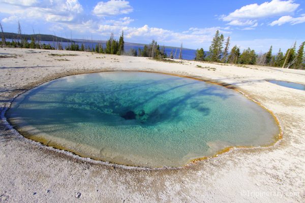 Blue Funnel Spring