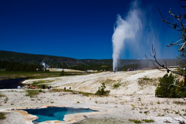 Beehive Geyser and Blue star Spring