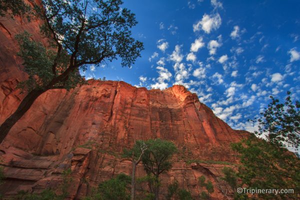 Zion Cliffs